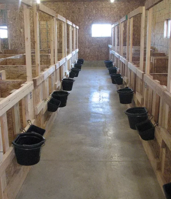 goat farm constructed by tayyab construction company