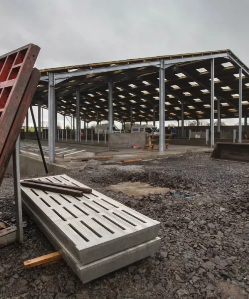 cattle shed under construction by tayyab construction company